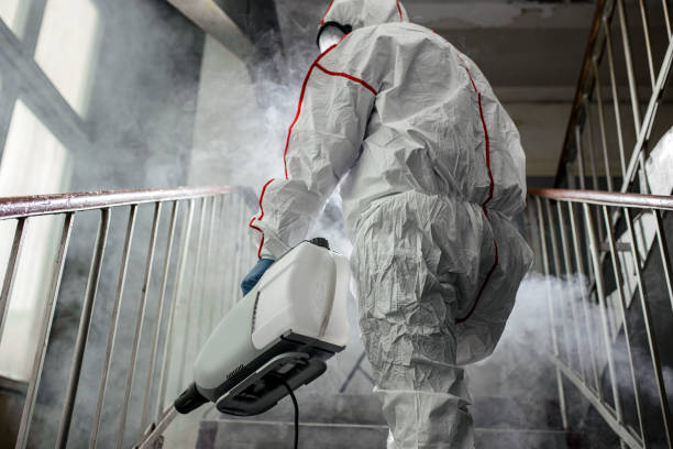 Why You Should Choose Our Mold Remediation Services in Davison, MI